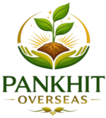 pankhitoverseas